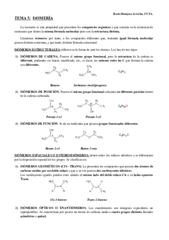 TEORIA-ISOMERIA.pdf