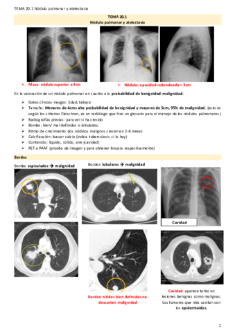 TEMA-20.pdf