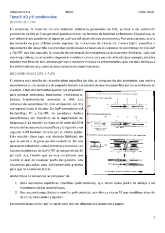 Tema-5-KO-y-KI-condicionales.pdf