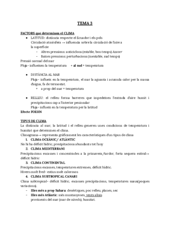 T3.pdf