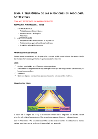 TEMA-7.pdf