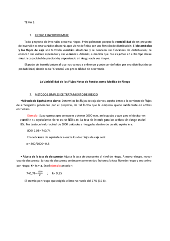 TEMA-5-ecofin.pdf