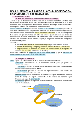 TEMA-5-MEMORIA-A-LARGO-PLAZO-I-CODIFICACION-ORGANIZACION-Y-CONSOLIDACION.pdf