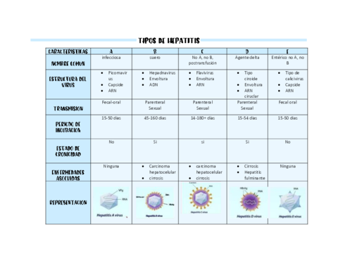 HEPATITIS.pdf