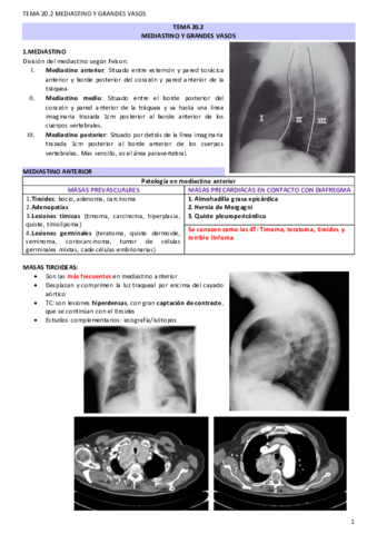 TEMA-20.pdf