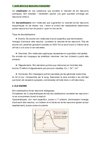 Resum-biocatalitzadors.pdf