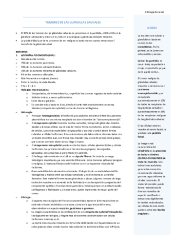 T2-GLANDULAS-SALIVALES.pdf