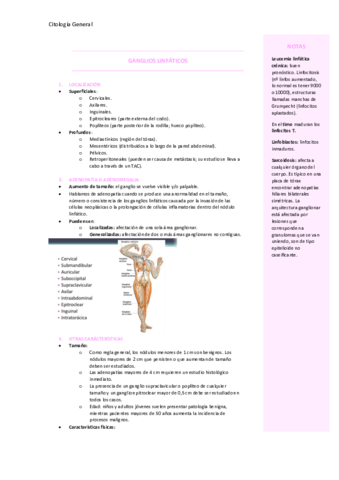 T6-GANGLIOS-LINFATICOS.pdf