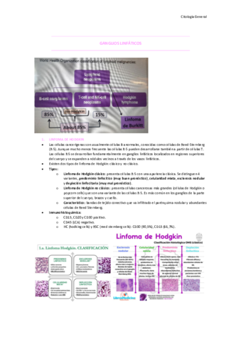 T7-GANGLIOS-LINFATICOS.pdf