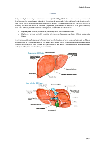 T8-HIGADO-Y-PANCREAS.pdf