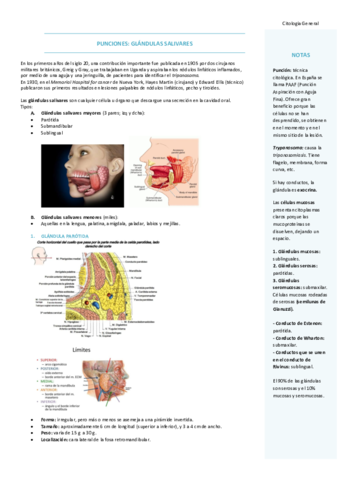 T1-GLANDULAS-SALIVALES.pdf