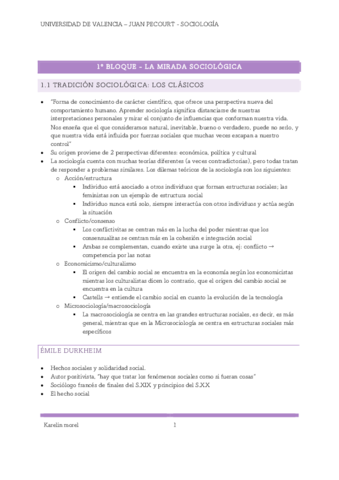 Sociologia-apuntes-T1.pdf