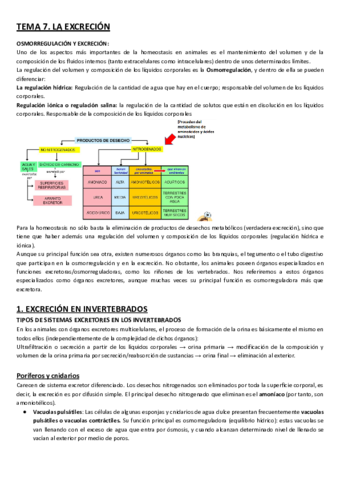 TEMA-7-ANIMAL.pdf