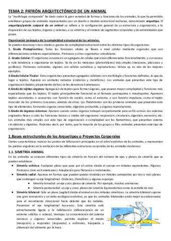 tema-2-animal.pdf