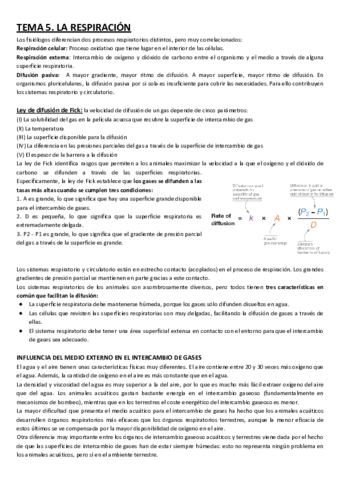 TEMA-5ANIMAL.pdf