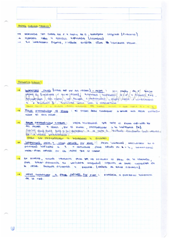 SISTEMAS-DE-REPRESENTACION.pdf