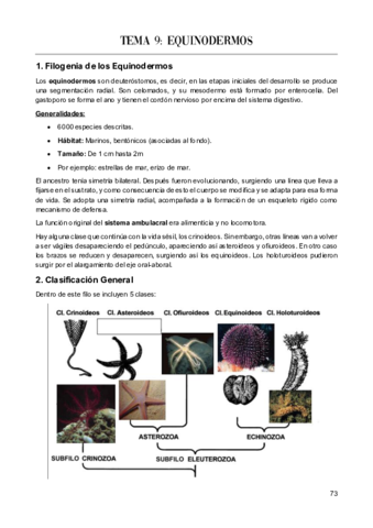 Tema-9-Fauna.pdf