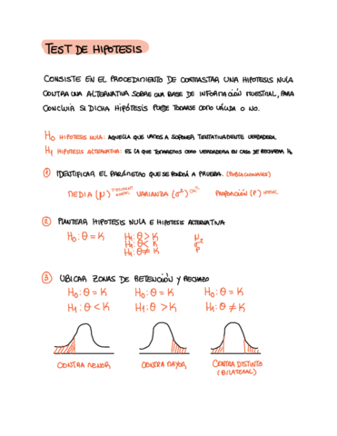 Test-de-hipotesis.pdf