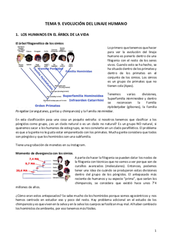 TEMA-9.pdf