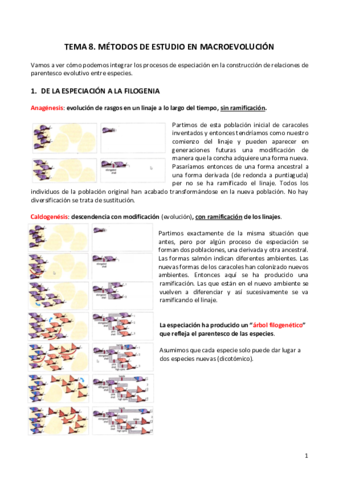 Tema-8.pdf