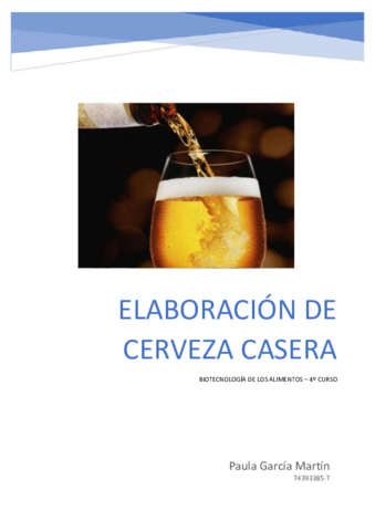 Informe-Cerveza-Paula-Garcia-Martin.pdf
