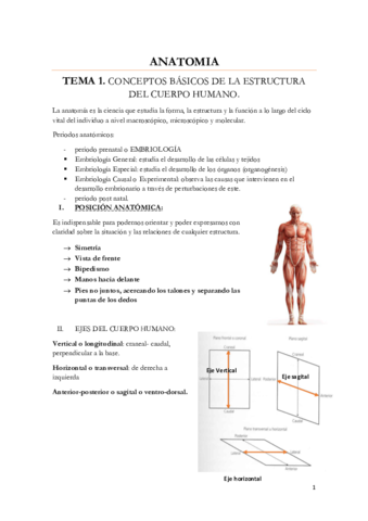 repaso-anatomia-1-parcial-hasta-el-tema-7-incluido-sistema-respiratorio.pdf