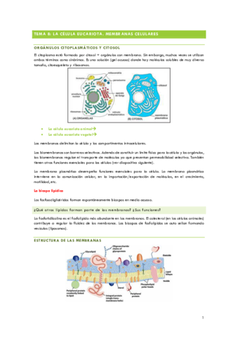 resumenes-tema-8-adelante.pdf