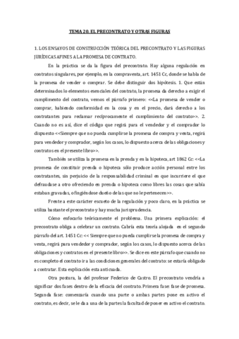 TEMA 20.pdf