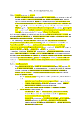 Resumen-Tema-1-wuolah-subrayado.pdf