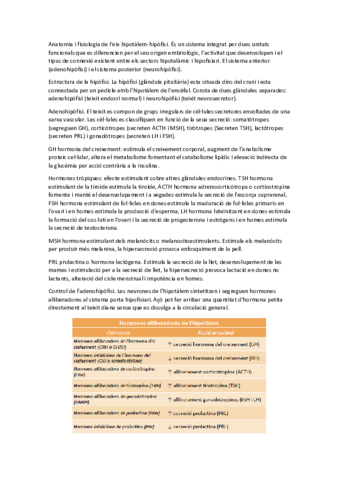 T15.pdf