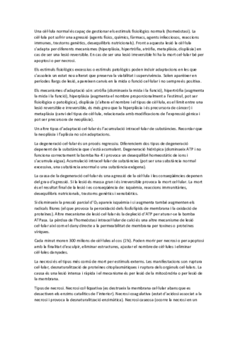 T2.pdf