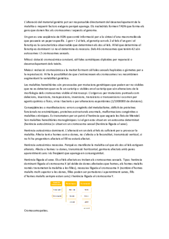 T4.pdf