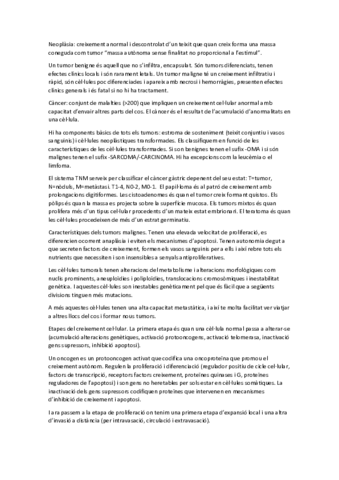 T3.pdf