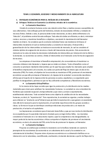 TEMA-2.pdf