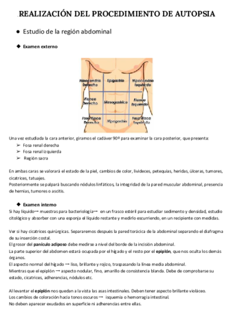 REALIZACION-DEL-PROCEDIMIENTO-DE-AUTOPSIA-PARTE-2.pdf