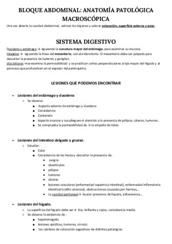 SISTEMA-DIGESTIVO-MACROSCOPIA.pdf