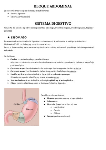 SISTEMA-DIGESTIVO.pdf