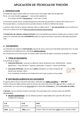 APLICACION-DE-TECNICAS-DE-TINCION.pdf