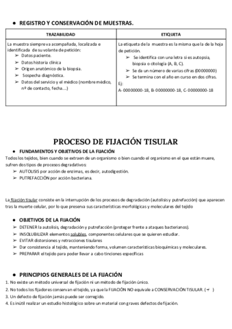 PROCESO-DE-FIJACION-TISULAR.pdf