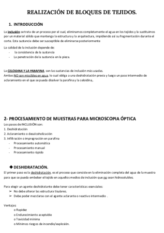 REALIZACION-DE-BLOQUES-DE-TEJIDOS.pdf