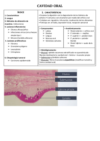 CAVIDAD-ORAL.pdf