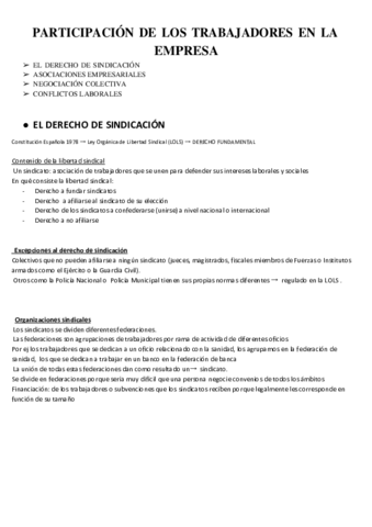 PARTICIPACION-DE-LOS-TRABAJADORES-EN-LA-EMPRESA.pdf