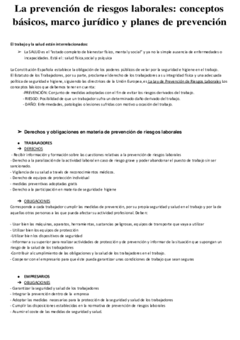 PREVENCION-DE-RIESGOS-LABORALES.pdf