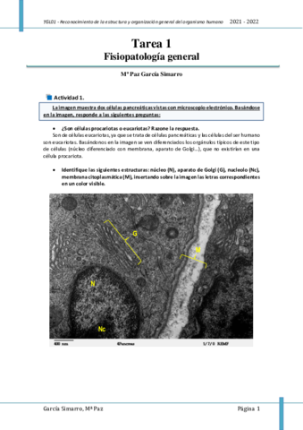 FG01Tarea.pdf