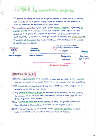 TEMA-4.pdf