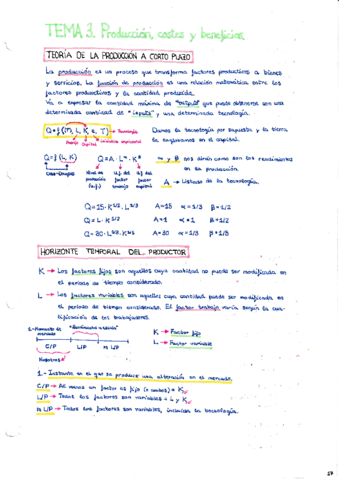 TEMA-3.pdf