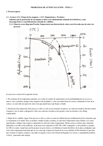 Problemas-de-autoevaluacion-Tema-3.pdf