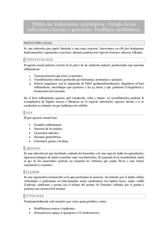 Tema 20.pdf