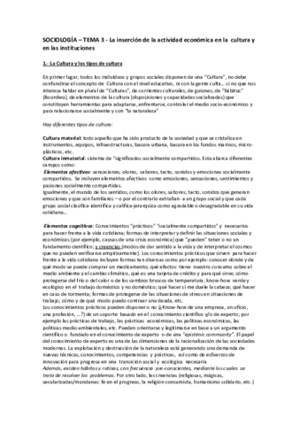 TEMA-3-SOCIOLOGIA.pdf
