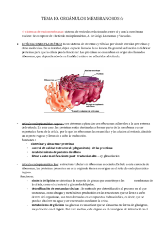 BIOLOGIA-TEMA10.pdf